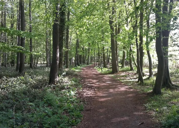 Wellness No10 Casa de Férias