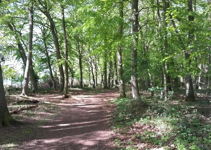 Casa de Férias Wellness No10 *